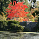 Frank Melville Park, Setauket NY